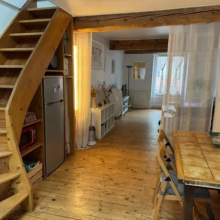 Duplex Quartier Historique Au Pied De La Bastille Apartment