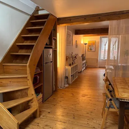 Duplex Quartier Historique Au Pied De La Bastille Apartment