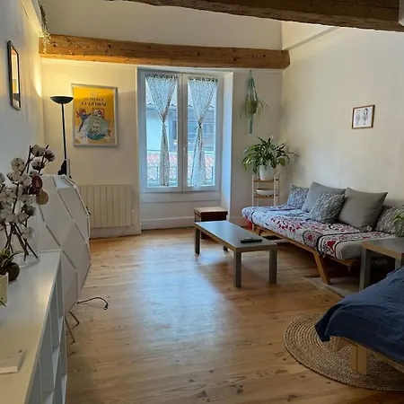 Duplex Quartier Historique Au Pied De La Bastille * Grenoble